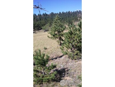 548 Opal Dr, Hartsel, CO 80449 - photo 4