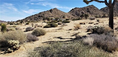 8000 Wesley Rd, Joshua Tree, CA 92252 - photo 7