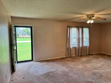 Carpeted spare room featuring ceiling fan, plenty 