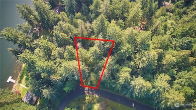 11114 106th St, Anderson Island, WA 98303 - photo 4