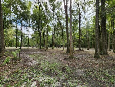 Lot 51 SW Boston Terrace, Fort White, FL 32038 - photo 3