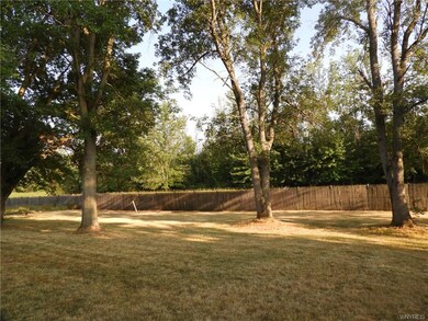The back yard.