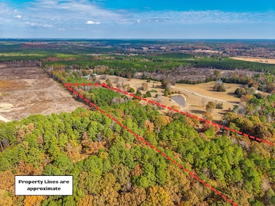 5.65 ac County Road 90, Water Valley, MS 38965 - photo 4