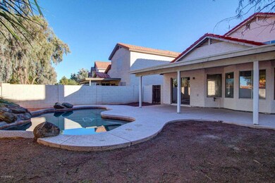 Backyard 3