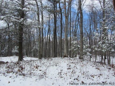 T/B/D Rokeby Rd, Red Hook, NY 12571 - photo 3