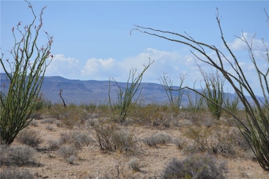 D4 Rose Well Rd, Yucca, AZ 86438 - photo 5