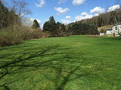 Yard/Garden.