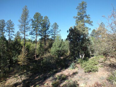 Topography