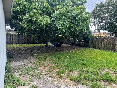 huge backyard with mango tree