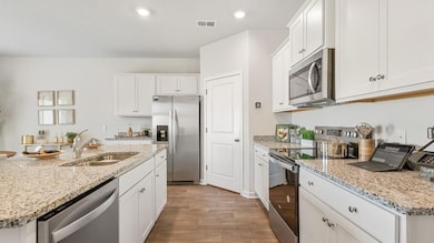 Cali with Granite and Electric_3
