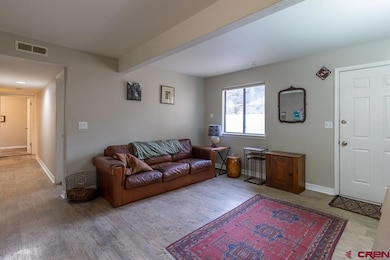 20280 Highway 160 unit 103B, Durango, CO 81303 - photo 6