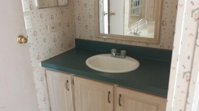 Master Bath Sink