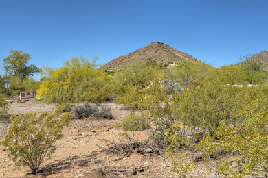 Lot View (2) (1)
