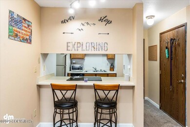 Bar/Kitchen Area