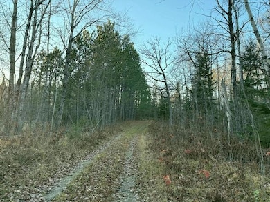 24965 Hammock Trail, Park Rapids, MN 56470 - photo 6