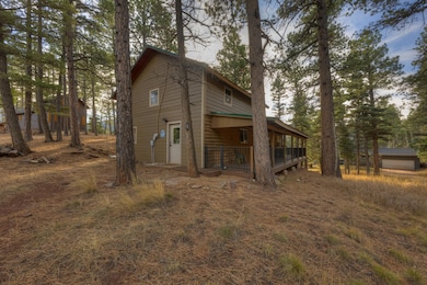 287 County Road 401, La Veta, CO 81055 - photo 3