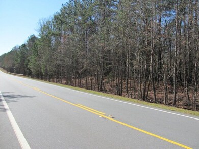 tract B Hwy 341 unit B, Forsyth, GA 31029 - photo 5