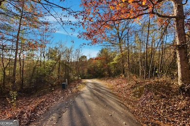 201 Spookhaven Ln, Clarkesville, GA 30523 - photo 6