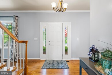 415 High Knob Rd, Front Royal, VA 22630 - photo 7