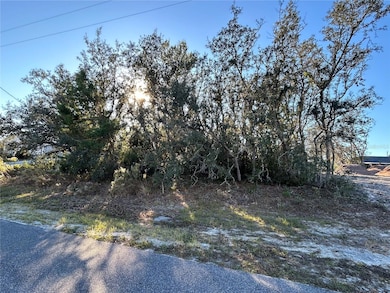 0 Amero Ln unit 13 MFRS5116270, Spring Hill, FL 34609 - photo 2