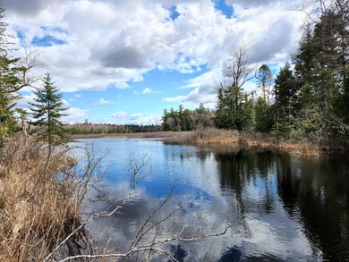 Webb Brook 5