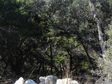 19511 Terra Elm, San Antonio, TX 78255 - photo 6