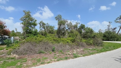 000 SW 153rd Loop, Marion Oaks, FL 34473 - photo 6
