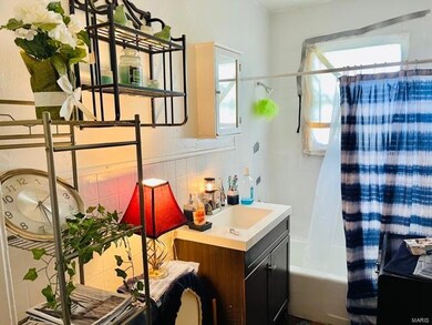 211 Tennessee Ave, New Madrid, MO 63869 - photo 4