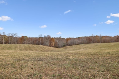 5515 Old Highway 96, Franklin, TN 37064 - photo 6