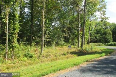 0 Macomb Rd unit 1003240426, Chestertown, MD 21620 - photo 2