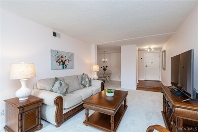 1505 Largo Rd unit 204, Henrico, VA 23238 - photo 4