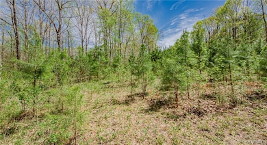 2225 Preservation Dr, Midlothian, VA 23113 - photo 7