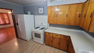 2234 Red Stripe Rd, Odin, IL 62870 - photo 6