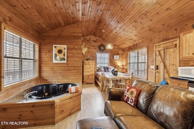 3328 Dirk Shell Rd, Sevierville, TN 37876 - photo 2