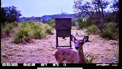 1200 Lipan Apache Run, Blanco, TX 78606 - photo 5