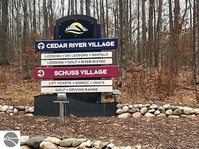 0000 Wasservalden St, Custer Township, MI 49615 - photo 3