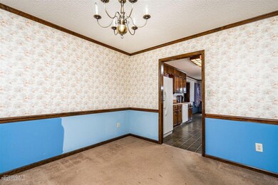 05-DSC05654
