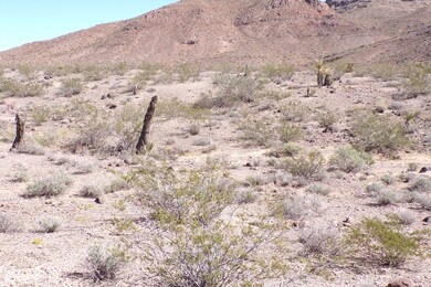 N White Dr, Dolan Springs, AZ 86441 - photo 4