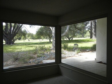 Living Room View