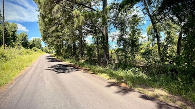 Cook Rd, Lillie, LA 71256 - photo 2