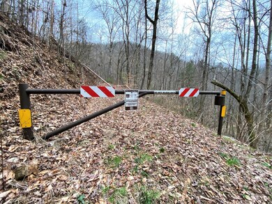USFS Rd & Gate directly next to Property