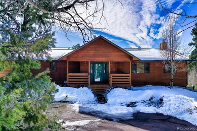 4155 Cedar Mountain Rd, Divide, CO 80814 - photo 3