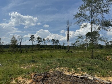 0 Busy Corner Rd, Gloster, MS 39638 - photo 4