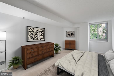 1024 N Utah St unit 522, Arlington, VA 22201 - photo 5