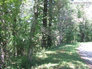 17 Panorama Dr, Todd, NC 28684 - photo 2