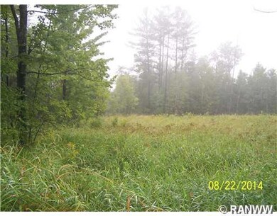 0 N 7th St, Weyerhaeuser, WI 54895 - photo 3