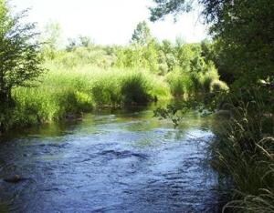 pic 2 -creek