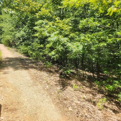 L-27, B-15 Goti Dr, Cherokee Village, AR 72529 - photo 2