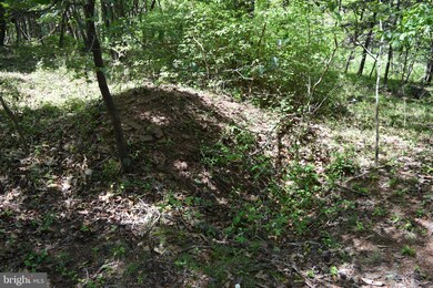 458 Gaither Rd, Great Cacapon, WV 25422 - photo 4