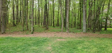 0 Falcon Dr, Dalton, GA 30721 - photo 4